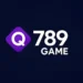 Q789 Game